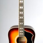Eko Guitars Ranger 12 VR Honey Burst 12-String Dreadnought Acoustic Guitar